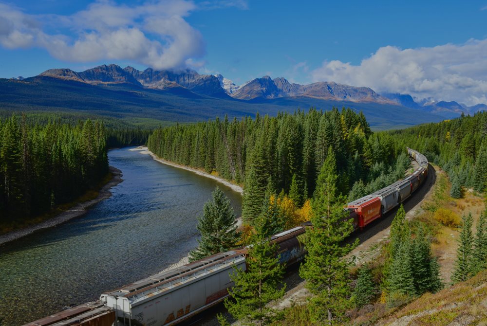 A train going through a forest. 