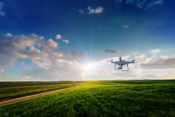 Agriculture with sunrise.