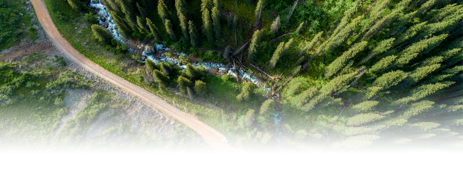 An aerial view of a dirt road cutting among a forest. 