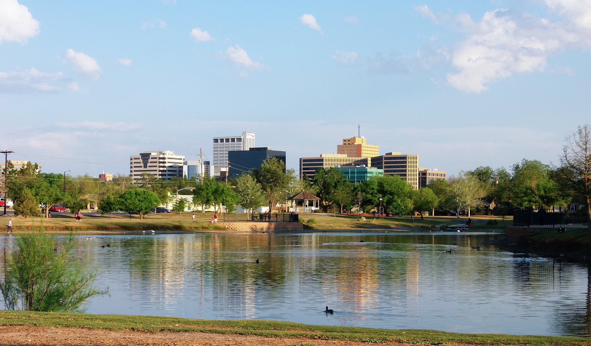 A pond with ducks in a park in front of a hotel in Midland Texas.